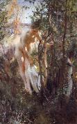 Anders Zorn, Unknow work 88